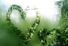 转会期体能课后，塞维利亚绝杀压哨备战足总杯，赛场秩序良好，球队文化再被提及的简单介绍-华体会app